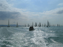 La Regata dei Cetacei 
salpa da Viareggio